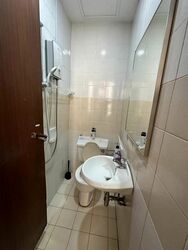 Dover Parkview (D5), Condominium #504303671